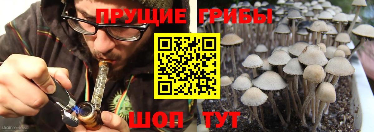 Галлюциногенные грибы ЛСД Георгиевск