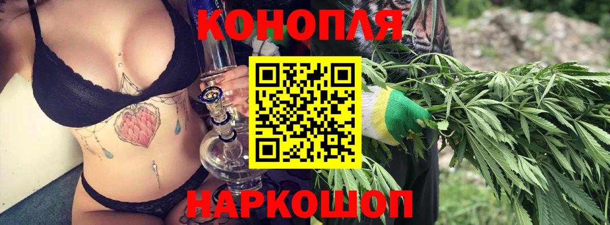 Конопля Ganja Георгиевск